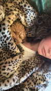 sydney_melman Altpins Profile Picture