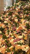 sydney_melman Altpins Profile Picture