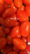 sydney_melman Altpins Profile Picture
