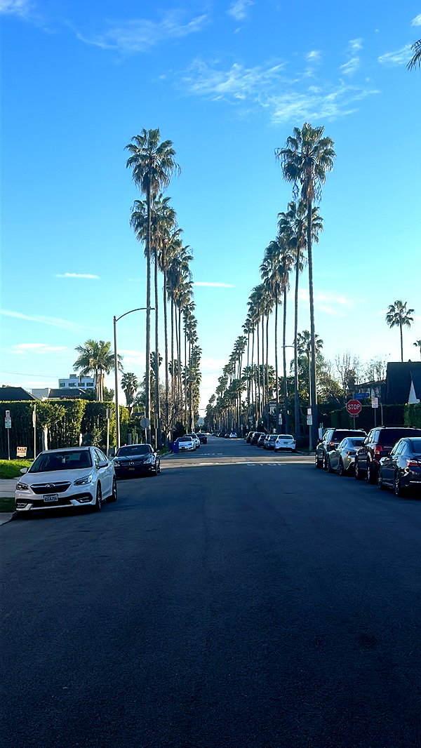 sydney_melman instagram image archive image
