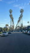 sydney_melman Altpins Profile Picture