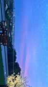 sydney_melman Altpins Profile Picture