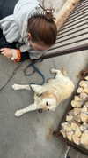 sydney_melman Altpins Profile Picture