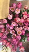 sydney_melman Altpins Profile Picture