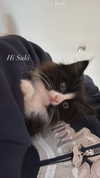sydney_melman Altpins Profile Picture