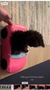 sydney_melman Altpins Profile Picture