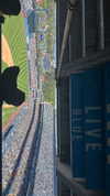 sydney_melman Altpins Profile Picture