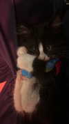 sydney_melman Altpins Profile Picture