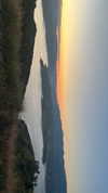 sydney_melman Altpins Profile Picture