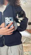sydney_melman Altpins Profile Picture