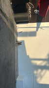 sydney_melman Altpins Profile Picture