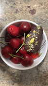 sydney_melman Altpins Profile Picture