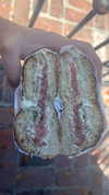 sydney_melman Altpins Profile Picture