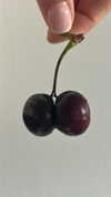 sydney_melman Altpins Profile Picture