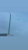 sydney_melman Altpins Profile Picture