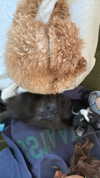 sydney_melman Altpins Profile Picture