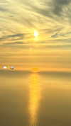 sydney_melman Altpins Profile Picture