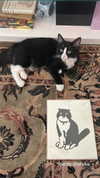 sydney_melman Altpins Profile Picture