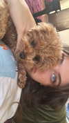sydney_melman Altpins Profile Picture
