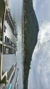 sydney_melman Altpins Profile Picture