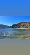 sydney_melman Altpins Profile Picture