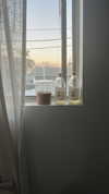 sydney_melman Altpins Profile Picture