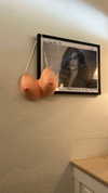 sydney_melman Altpins Profile Picture