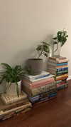 sydney_melman Altpins Profile Picture