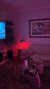 sydney_melman Altpins Profile Picture