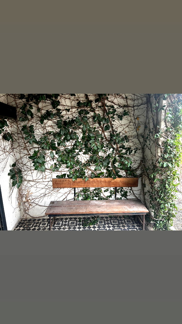 sydney_melman instagram image archive image