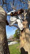 sydney_melman Altpins Profile Picture