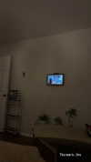 sydney_melman Altpins Profile Picture