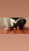 sydney_melman Altpins Profile Picture