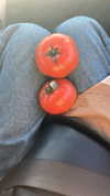 sydney_melman Altpins Profile Picture