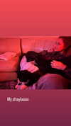 sydney_melman Altpins Profile Picture