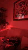 sydney_melman Altpins Profile Picture