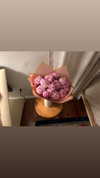sydney_melman Altpins Profile Picture