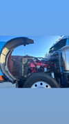 sydney_melman Altpins Profile Picture
