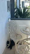 sydney_melman Altpins Profile Picture