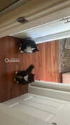 sydney_melman Altpins Profile Picture