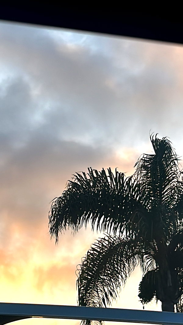 sydney_melman instagram image archive image