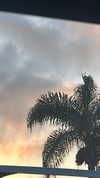 sydney_melman Altpins Profile Picture