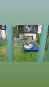 sydney_melman Altpins Profile Picture