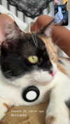 sydney_melman Altpins Profile Picture