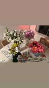 sydney_melman Altpins Profile Picture