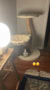 sydney_melman Altpins Profile Picture