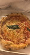 sydney_melman Altpins Profile Picture