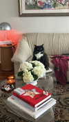 sydney_melman Altpins Profile Picture