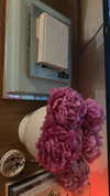 sydney_melman Altpins Profile Picture