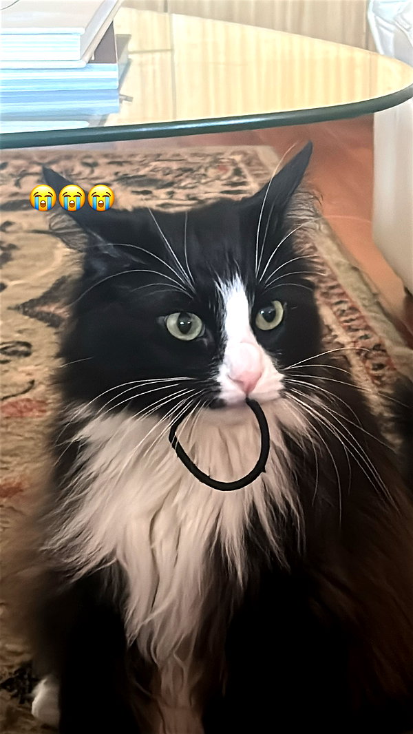 sydney_melman sydney_melman archive image